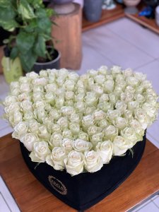 White Lover 3