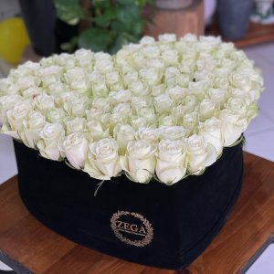 White Lover 1