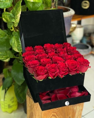 Süet kutuda güller