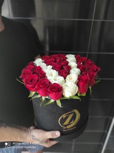 Zega Suet Kutu Kırmızı Güller